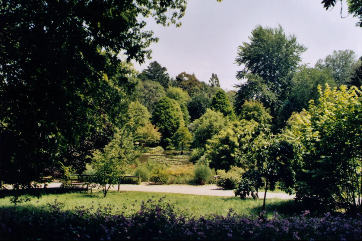 The pond and planting at Sir Harold Hillier Gardens